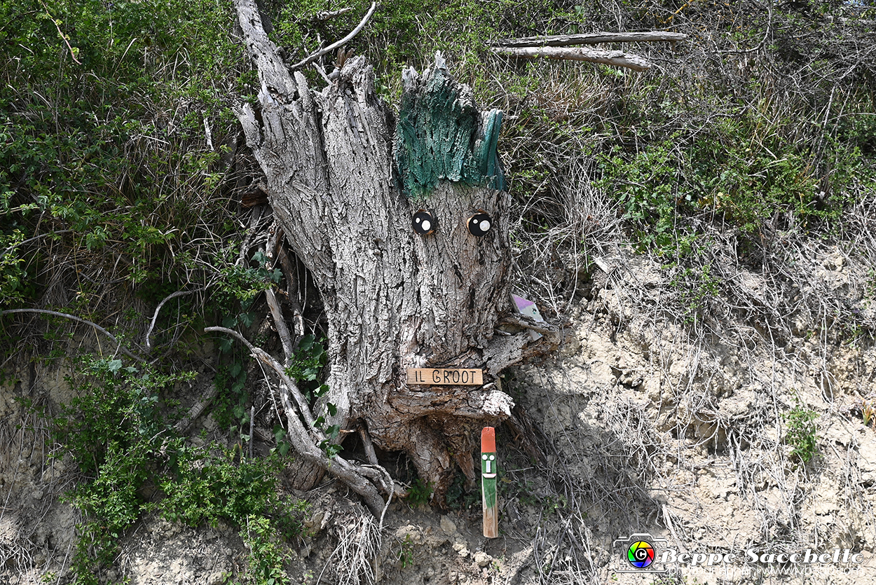 VBS_3099 - Mango (Cuneo) - Gnomovia.jpg